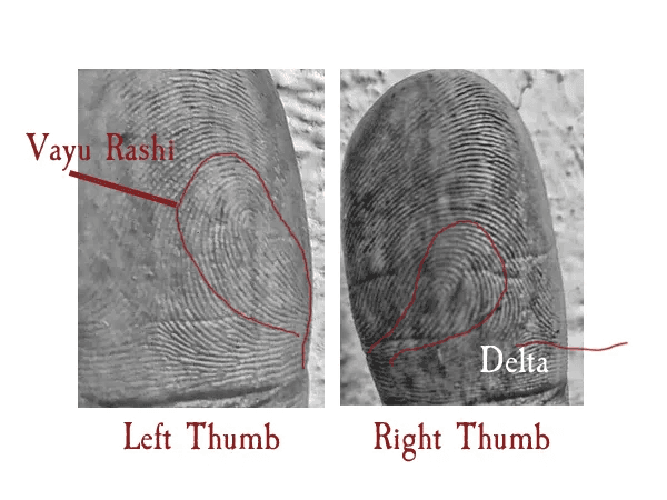 Left and right thumb impression reference
